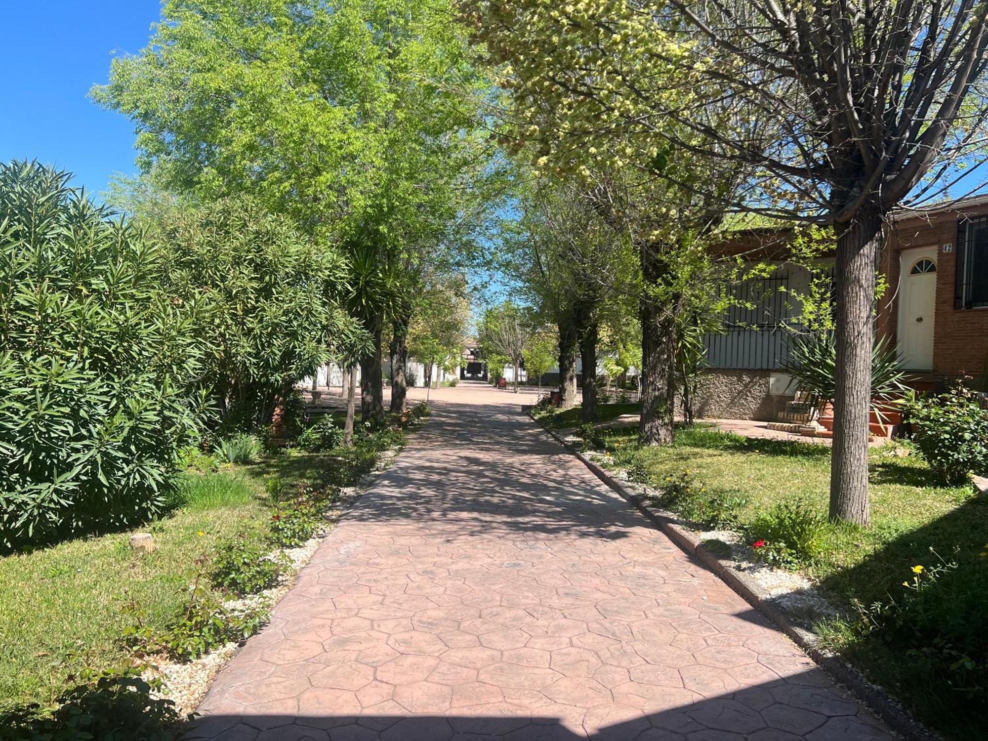 Bungalow Padul El Mamut 외부 사진